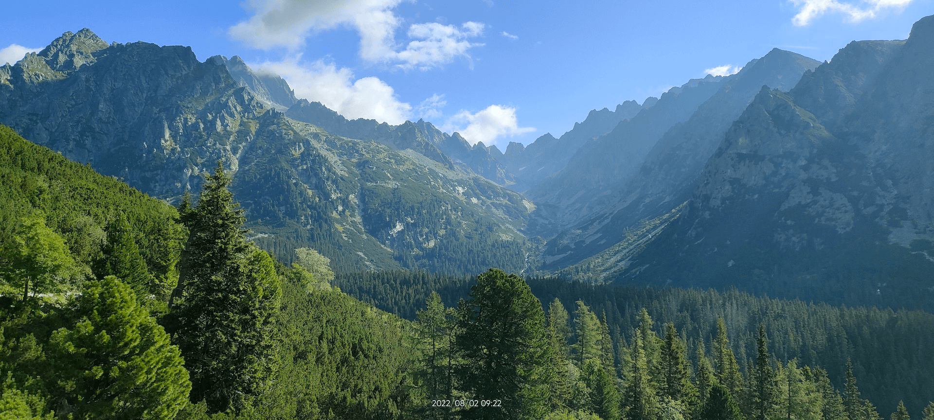 Galeria zdjęć Talent